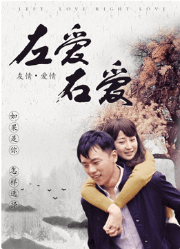 左爱右爱海报