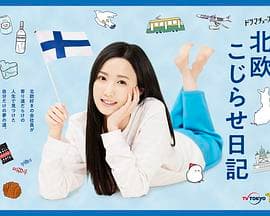北欧别扭日记海报