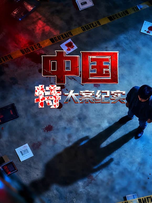 中国特大案纪实海报