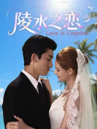 陵水之恋海报
