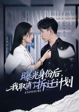 曝光身份后，我取消了拆迁计划海报