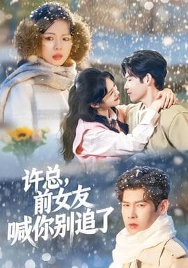 许总，前女友喊你别追了海报