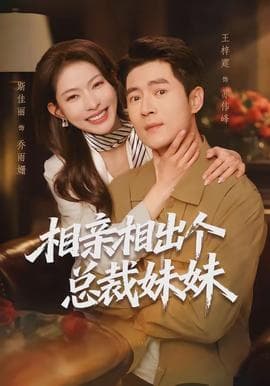 相亲相出个总裁妹妹海报