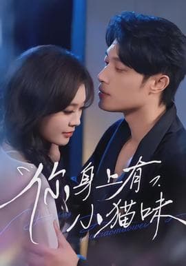 你身上有小猫味海报