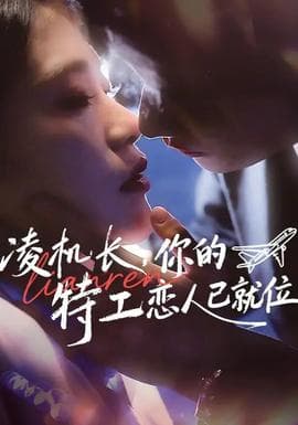 凌机长，你的特工恋人已就位海报