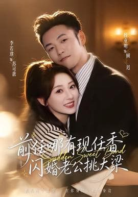前任哪有现任香，闪婚老公挑大梁海报