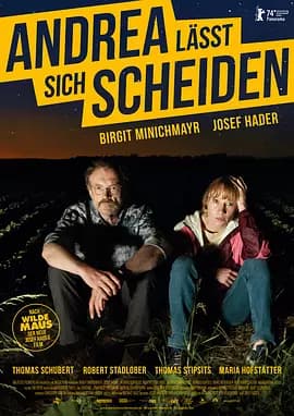 安德里亚离婚记海报