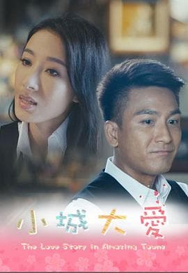 小城大爱系列剧粤语海报