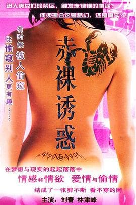 南北有情天海报