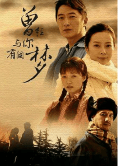 曾经与你有个梦海报
