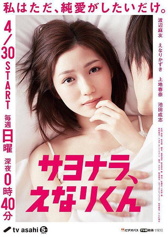 再见，江成君海报